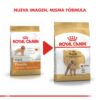 Royal Canin Poodle caniche 2.5 kg
