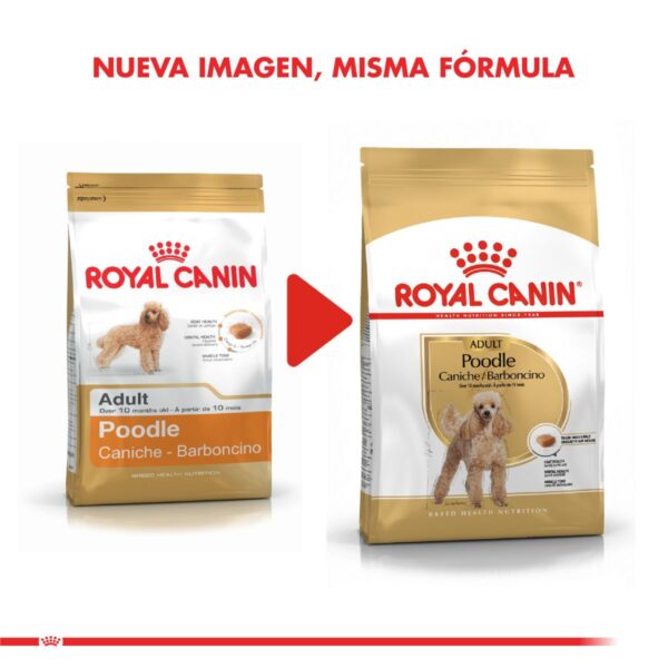 Royal Canin Poodle caniche 2.5 kg