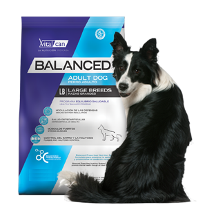 Balanced Ad. Large Breed 15 kg