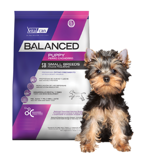 balancedcachrp Balanced Puppy Small Breed 7,5 kg