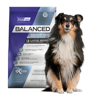 balancedseniorrg Balanced Senior Large Breed 15 kg
