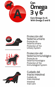 img_product_maxine_adultos Maxine Adulto Súper Premium 21 kg