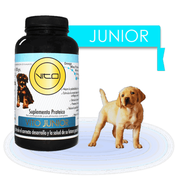 Vito Junior 100grs