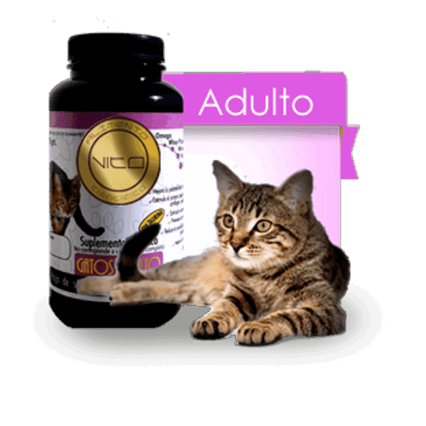 Vito Gatos Adultos 100 grs