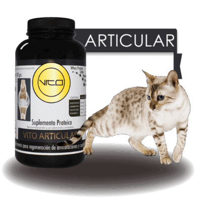 X_gato_articular2364 Vito Gato Articular 100 grs