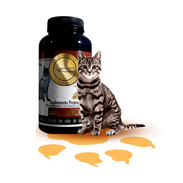 Vito Gatos Senior 100 grs
