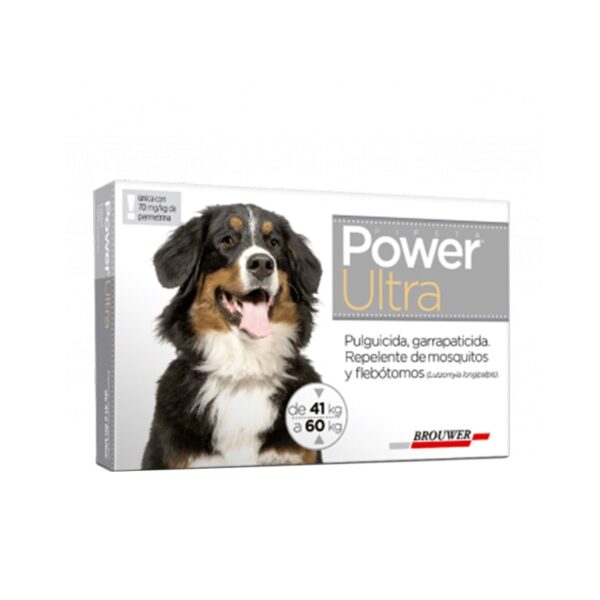 Power Ultra  41 kg a 60 kg