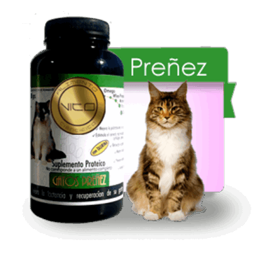 vito gato preñez Vito Gato Preñez 100 grs