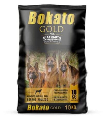19P321 Bokato Adulto Gold