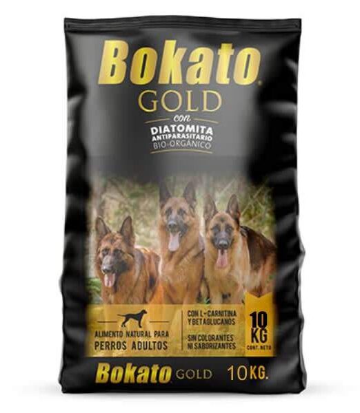 19P321 Bokato Adulto Gold