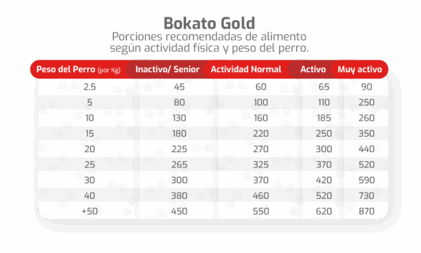 Gold Bokato Adulto Gold