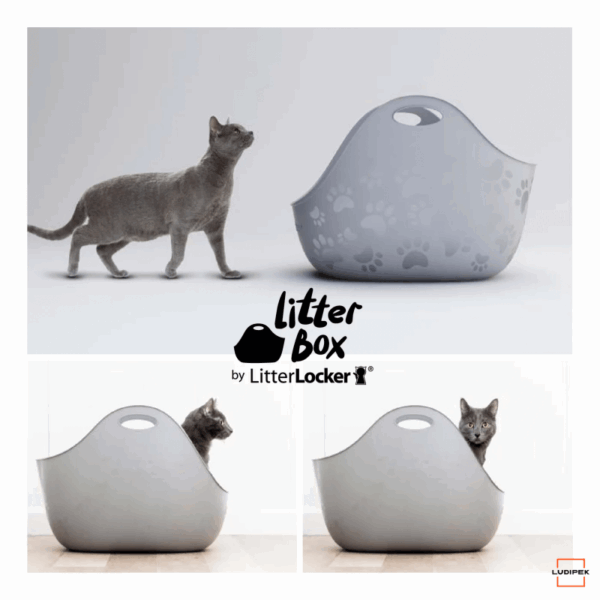 arenero-litter-box- (1) Arenero LitterBox