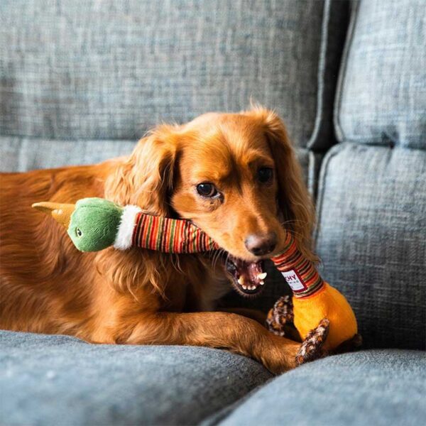 GIGWI CRUNCHY NECK PLUSH FRIENDZ PATO