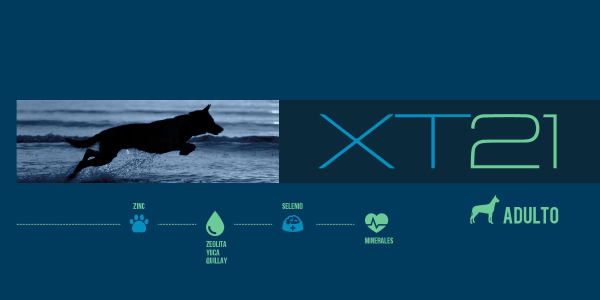 XT21