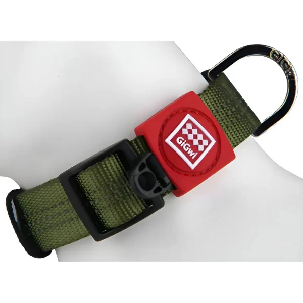 collar verde gigwi 2 Collar clásico verde extra grande